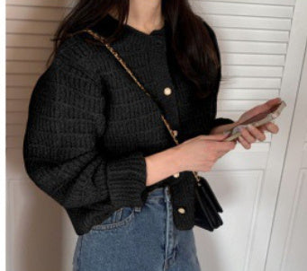 Round Neck Texture Woven Design Loose Long Sleeve Short Knitted Sweater