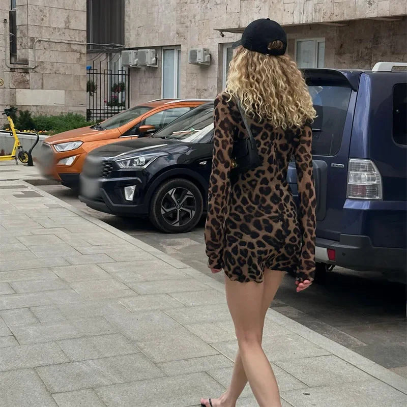 Women's Clothing Dress Street Leopard Print Long Sleeve