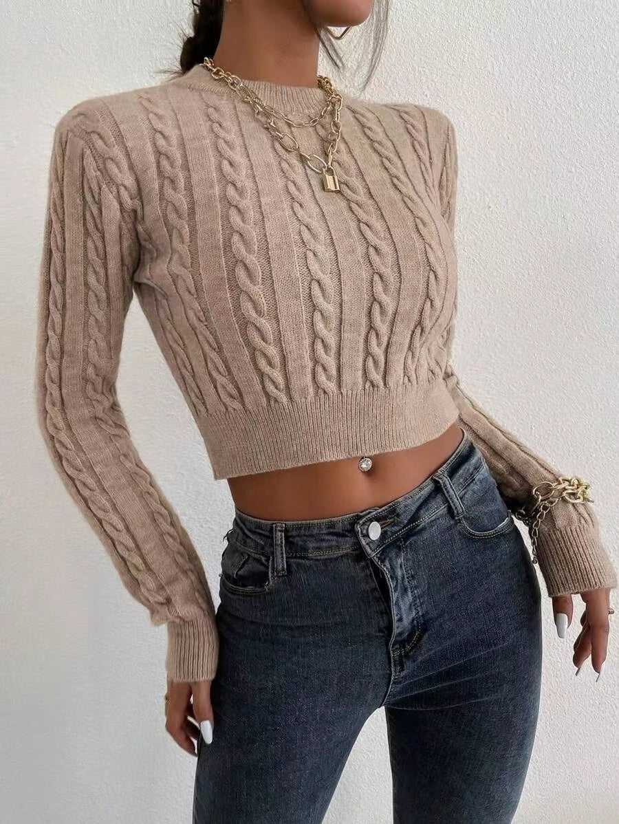 Cutie Polyester sweater crop Top